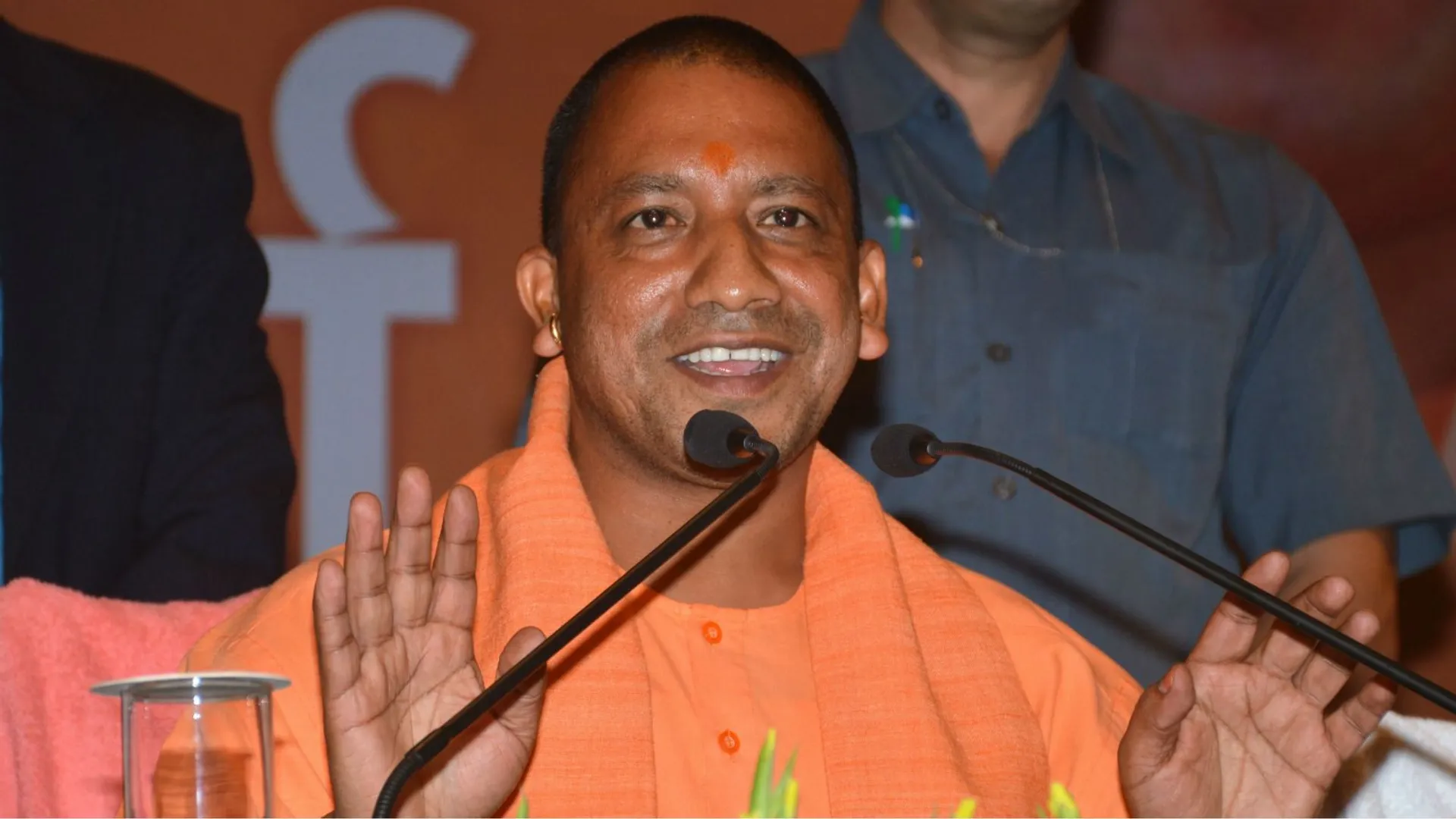 yogi